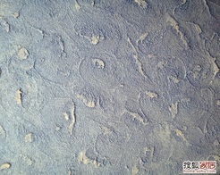 淺淺深藍的裝修日記 二十三 一波