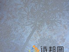 中國新型環保建材--買優惠的綠色建材,就來詩邦圖-詩邦圖(中國)品牌運營總部提供中國新型環保建材--買優惠的綠色建材,就來詩邦圖的相關介紹、產品、服務、圖片、價格肌理漆、肌理壁膜、福建肌理漆、肌理壁膜漆代理、硅藻泥廠家、肌理液體壁紙、