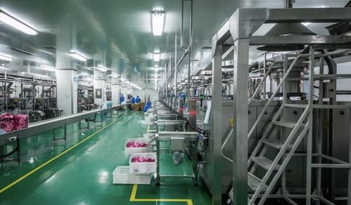 數字化定制工廠 從服裝到食品的產業創新