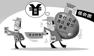 探索IT數碼新前沿，人工智能實驗室引領科技資訊潮流